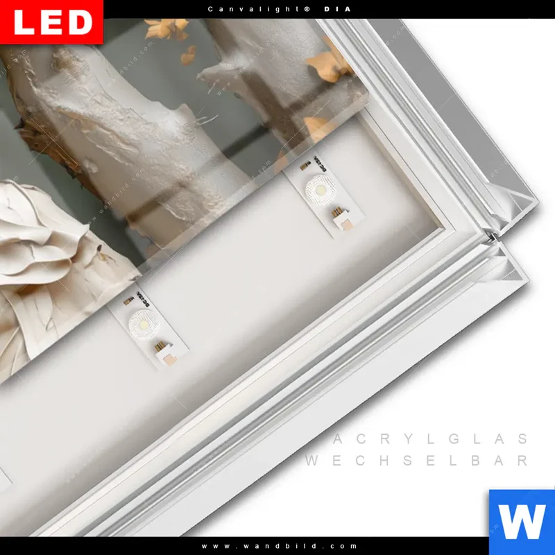 Leuchtbild Acrylglas Canvalight® DIA | Buddha – Harmonie im Wald | Panorama