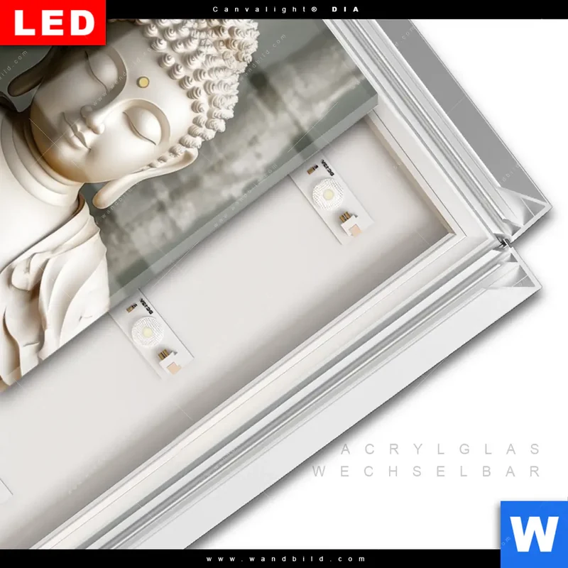 Leuchtbild Acrylglas Canvalight® DIA | Buddha – Harmonie im Wald | Hochformat