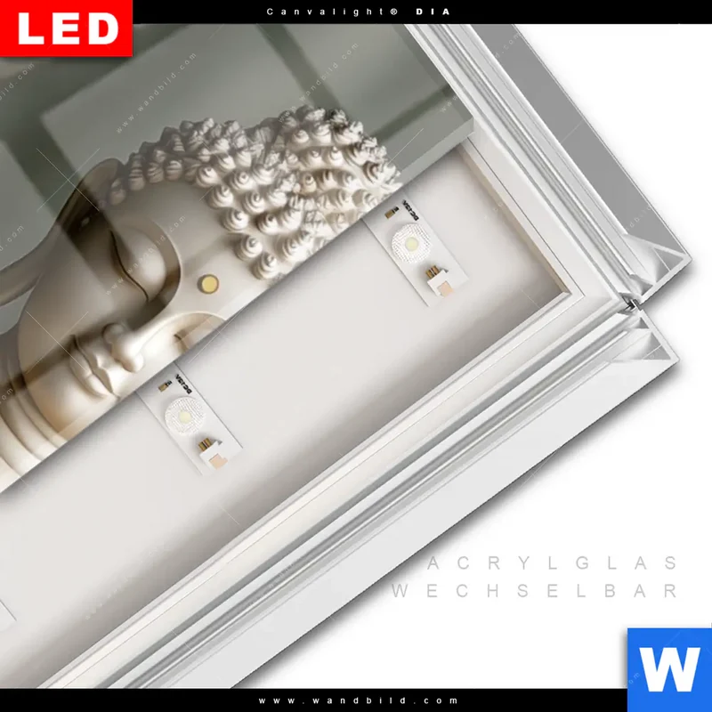 Leuchtbild Acrylglas Canvalight® DIA | Buddha – Harmonie im Wald | Schmal