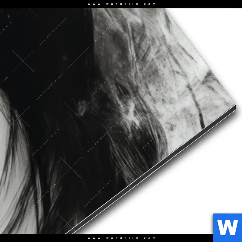 Alu-Dibond Bild | Mystic Glamour | Panorama