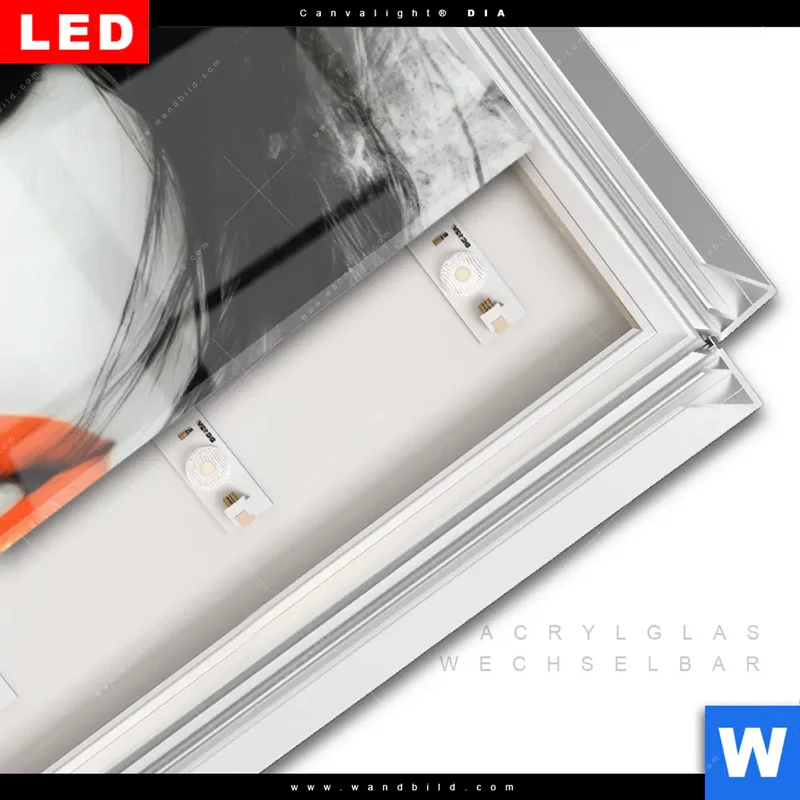 Leuchtbild Acrylglas Canvalight® DIA | Mystic Glamour | Panorama