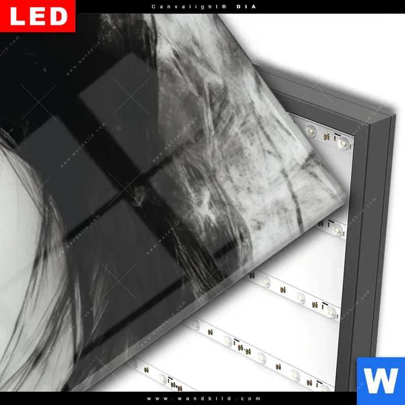 Wechselmotiv Acrylglas Canvalight® DIA | Mystic Glamour | Panorama