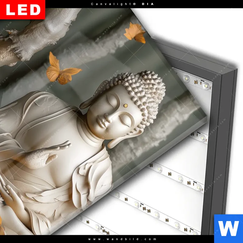 Wechselmotiv Acrylglas Canvalight® DIA | Buddha – Harmonie im Wald | Quadrat