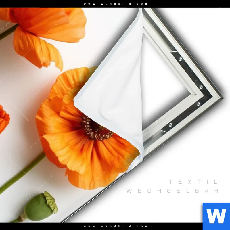 Spannbild | Mohnblumen in voller Blüte | Hochformat