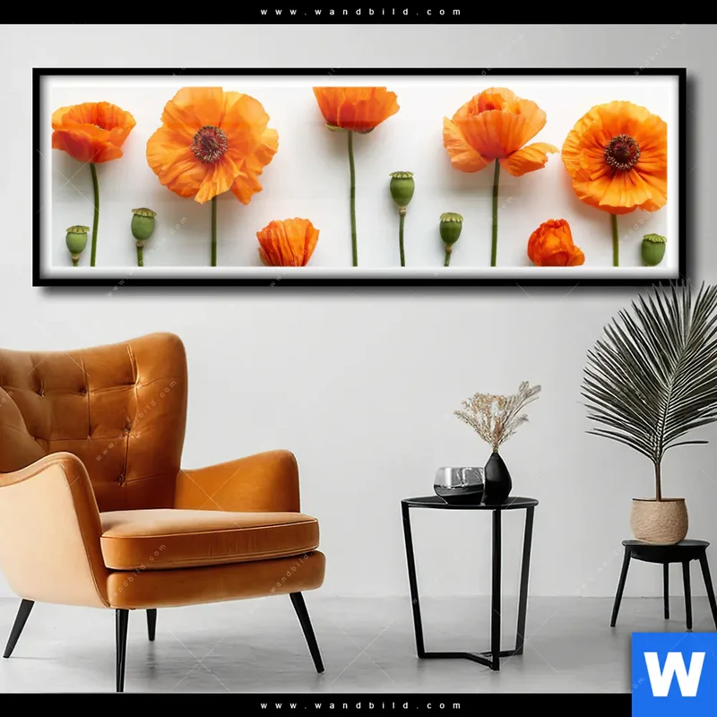 Poster | Mohnblumen in voller Blüte | Panorama