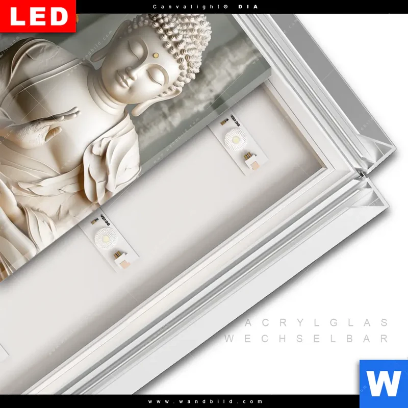 Leuchtbild Acrylglas Canvalight® DIA | Buddha – Harmonie im Wald | Quadrat