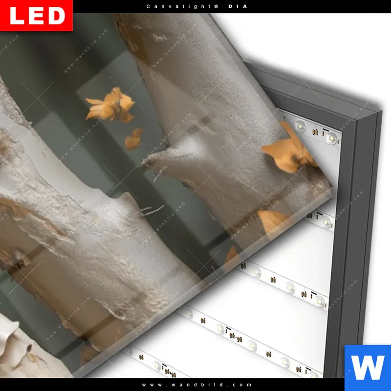 Wechselmotiv Acrylglas Canvalight® DIA | Buddha – Harmonie im Wald | Panorama