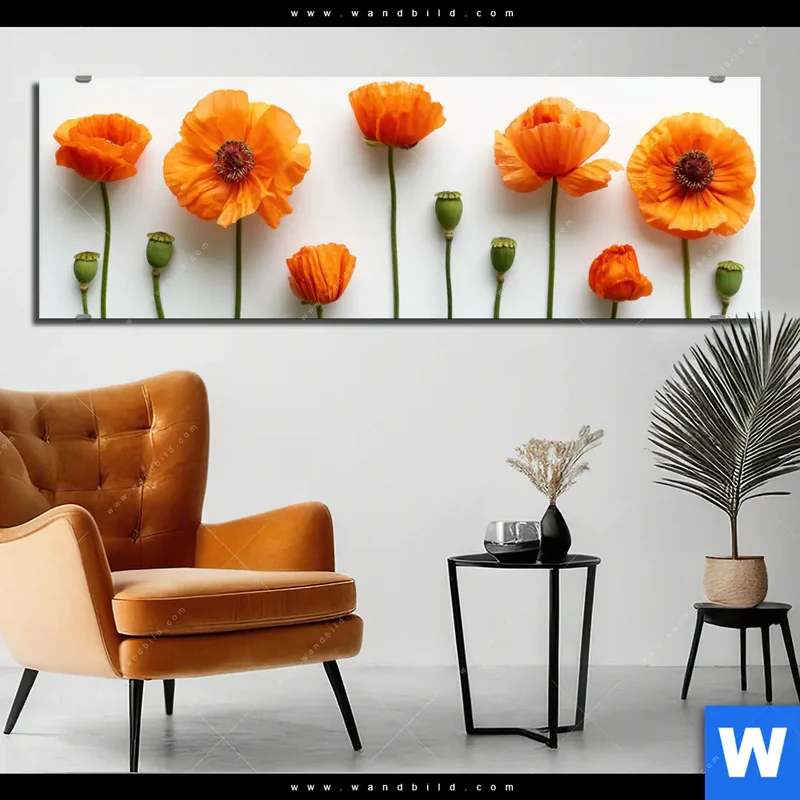 Aluminiumbild gebürstet | Mohnblumen in voller Blüte | Panorama