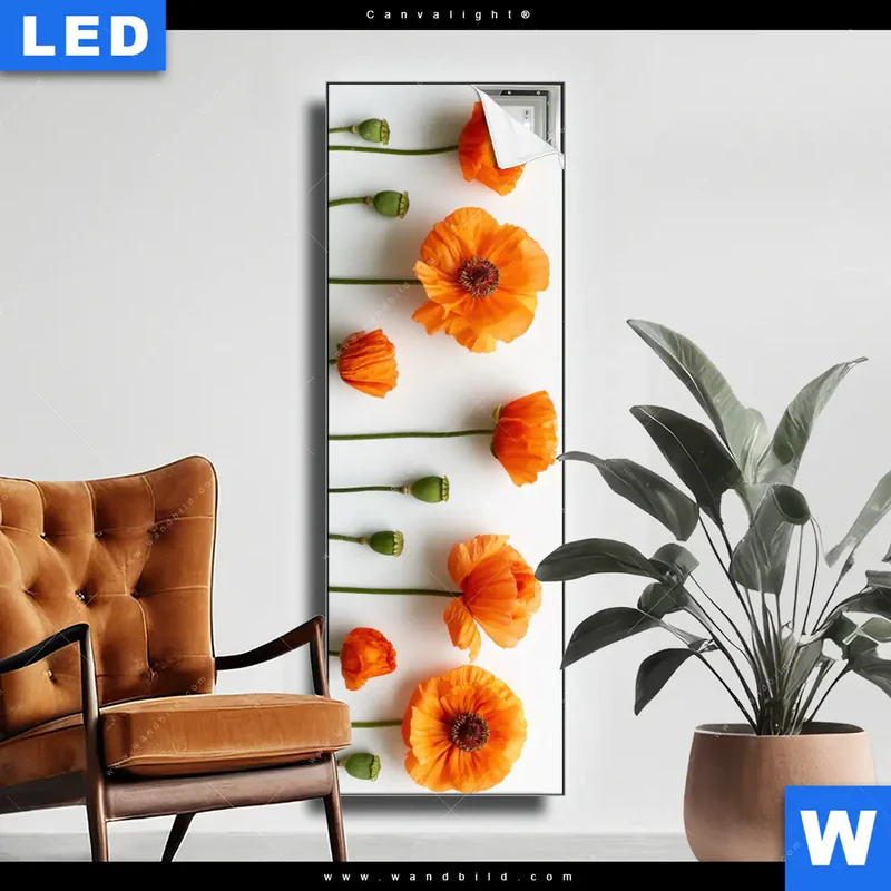 Canvalight® Leuchtbild | Mohnblumen in voller Blüte | Schmal
