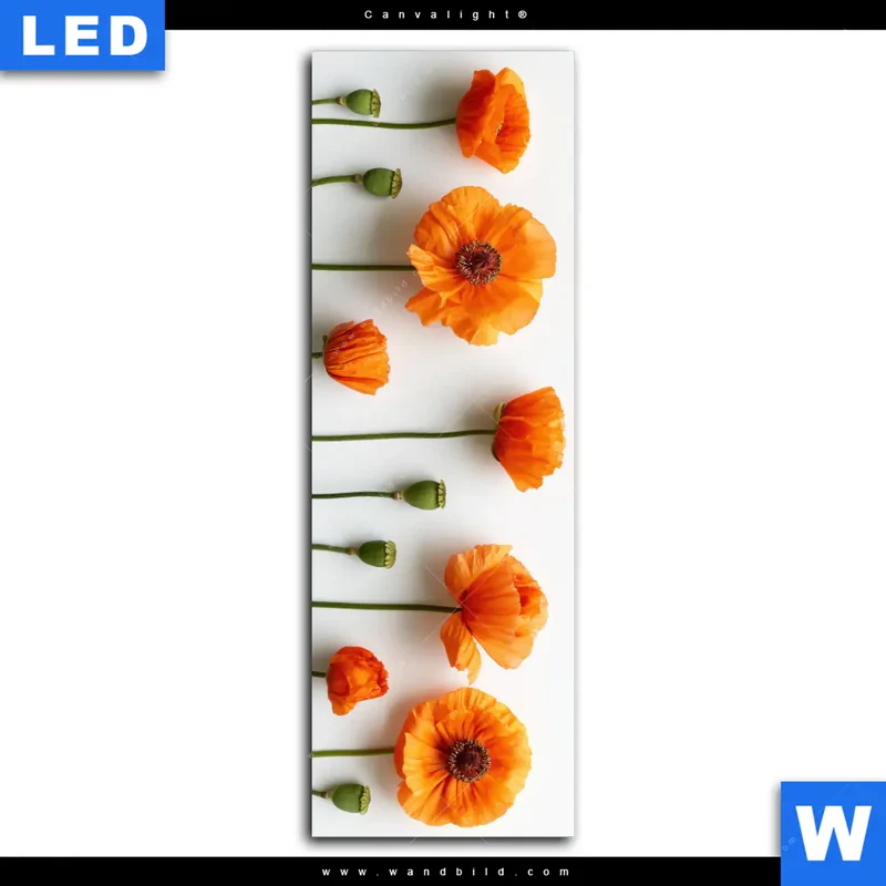 Canvalight® Leuchtbild | Mohnblumen in voller Blüte | Schmal