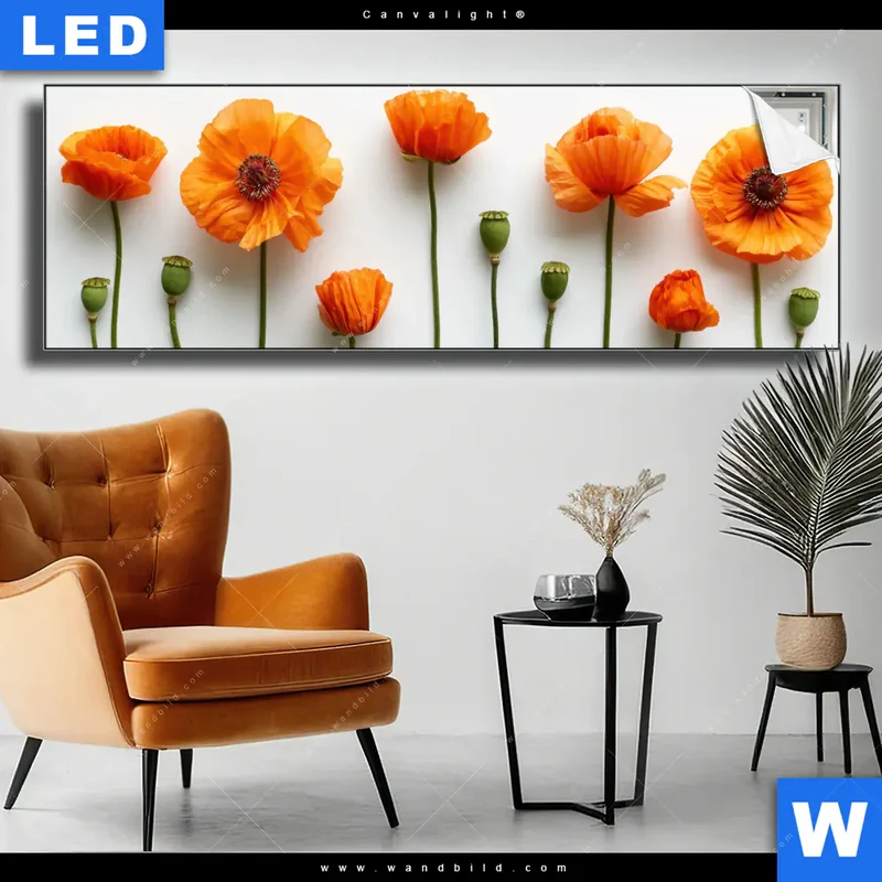 Canvalight® Leuchtbild | Mohnblumen in voller Blüte | Panorama