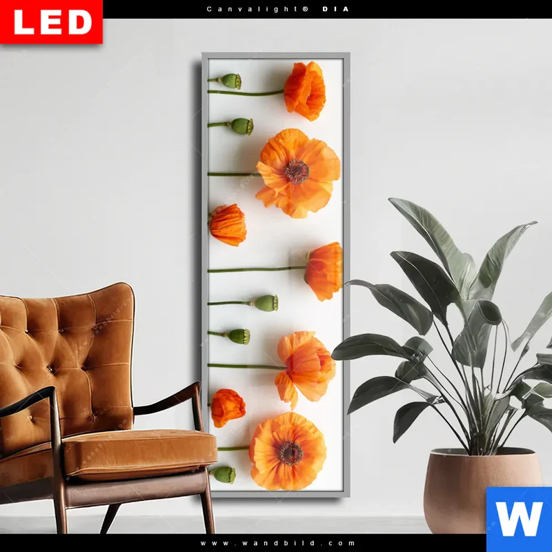 Wechselmotiv Acrylglas Canvalight® DIA | Mohnblumen in voller Blüte | Schmal
