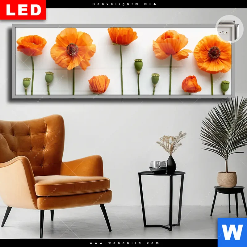 Leuchtbild Acrylglas Canvalight® DIA | Mohnblumen in voller Blüte | Panorama