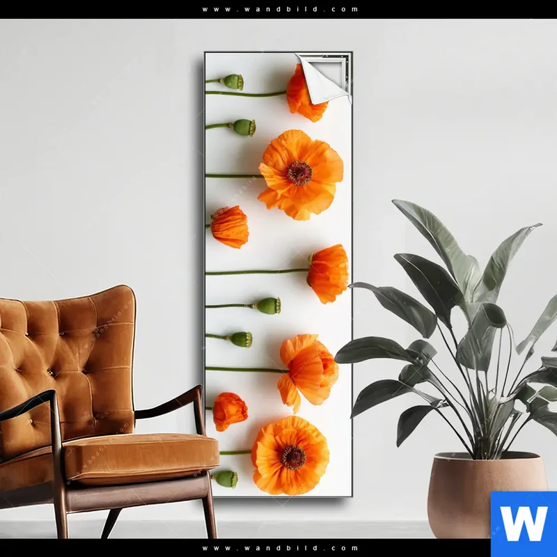 Spannbild | Mohnblumen in voller Blüte | Schmal