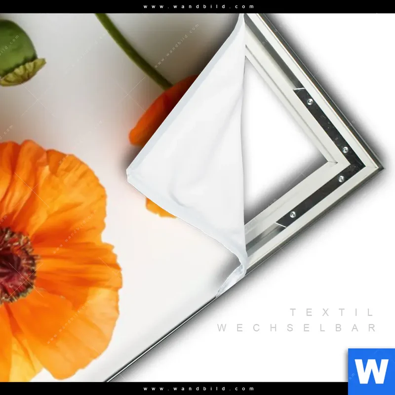 Spannbild | Mohnblumen in voller Blüte | Schmal