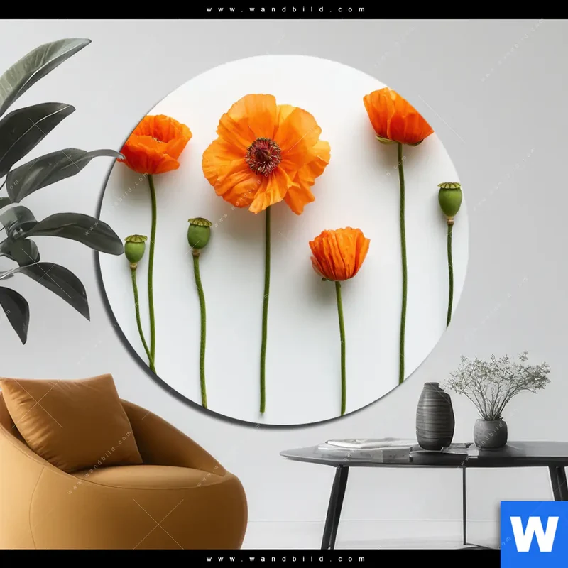 Alu-Dibond Bild | Mohnblumen in voller Blüte | Rund