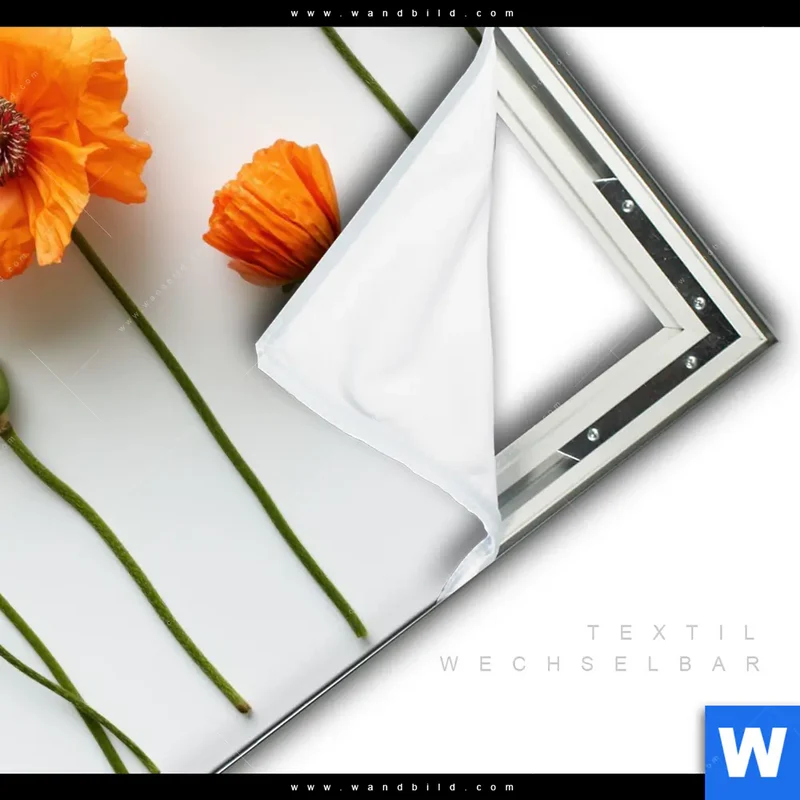Spannbild | Mohnblumen in voller Blüte | Quadrat