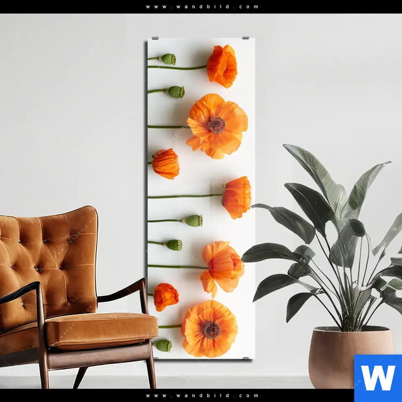 Acrylglasbild | Mohnblumen in voller Blüte | Schmal