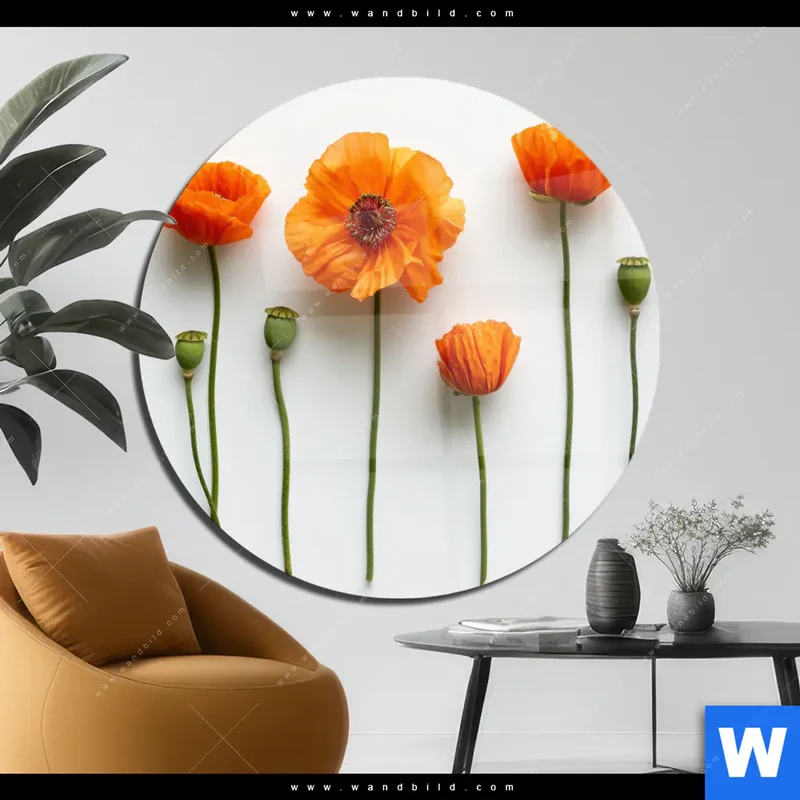 Acrylglasbild | Mohnblumen in voller Blüte | Rund
