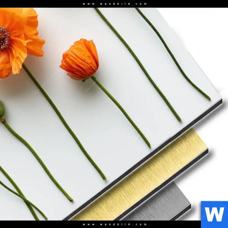 Aluminiumbild gebürstet | Mohnblumen in voller Blüte | Rund
