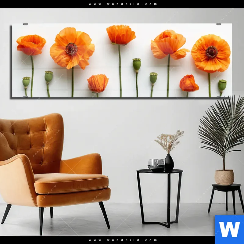 Acrylglasbild | Mohnblumen in voller Blüte | Panorama