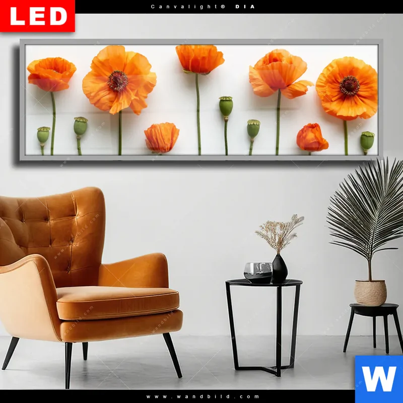 Wechselmotiv Acrylglas Canvalight® DIA | Mohnblumen in voller Blüte | Panorama