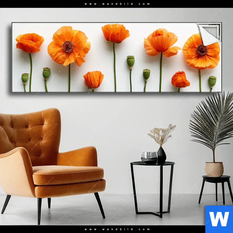Spannbild | Mohnblumen in voller Blüte | Panorama