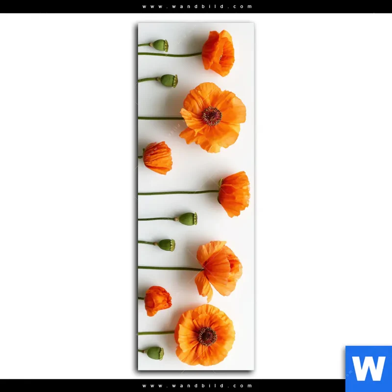 Alu-Dibond Bild | Mohnblumen in voller Blüte | Schmal