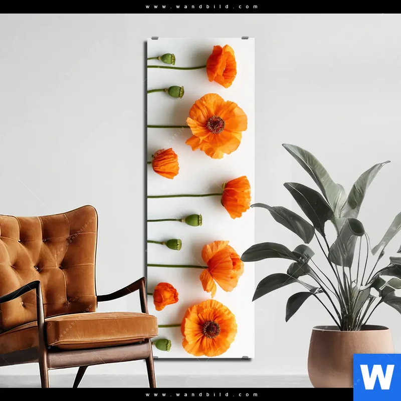 Aluminiumbild gebürstet | Mohnblumen in voller Blüte | Schmal