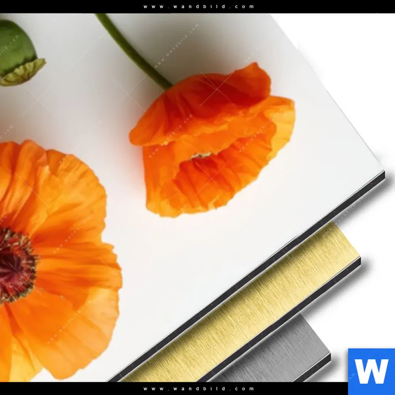 Aluminiumbild gebürstet | Mohnblumen in voller Blüte | Schmal