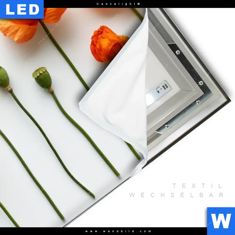 Canvalight® Leuchtbild | Mohnblumen in voller Blüte | Querformat