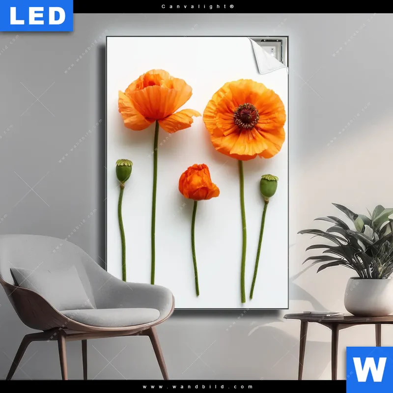 Canvalight® Leuchtbild | Mohnblumen in voller Blüte | Hochformat