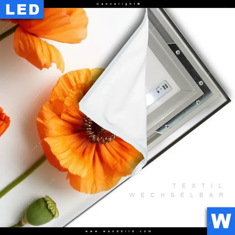 Canvalight® Leuchtbild | Mohnblumen in voller Blüte | Hochformat