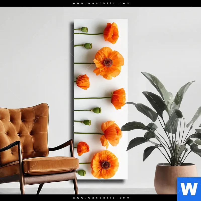 Leinwandbild | Mohnblumen in voller Blüte | Schmal