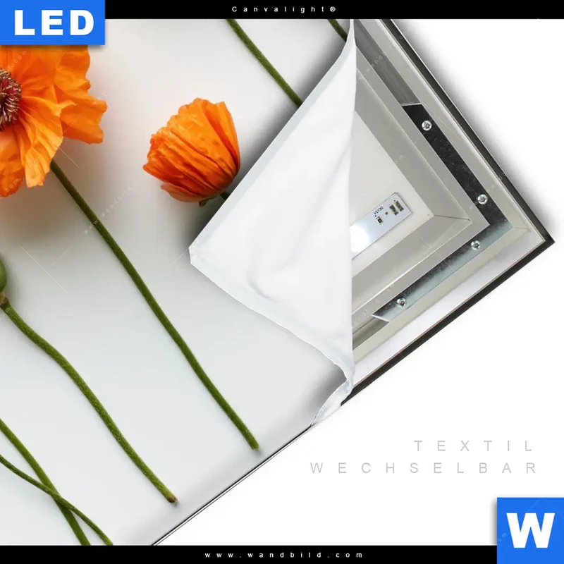Canvalight® Leuchtbild | Mohnblumen in voller Blüte | Quadrat