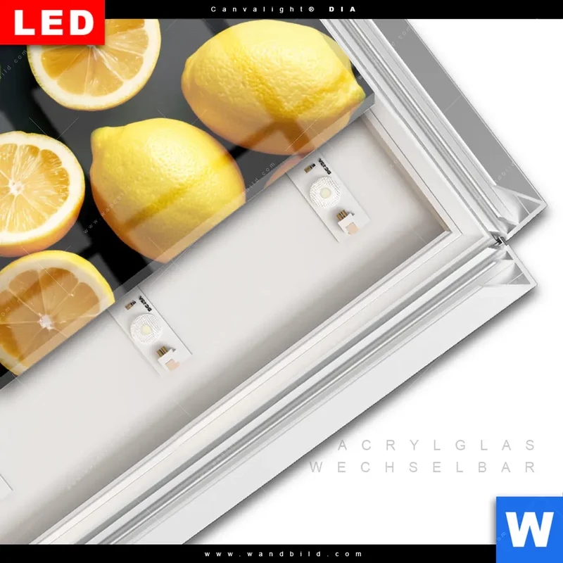 Leuchtbild Acrylglas Canvalight® DIA | Zitronen und Limetten | Quadrat