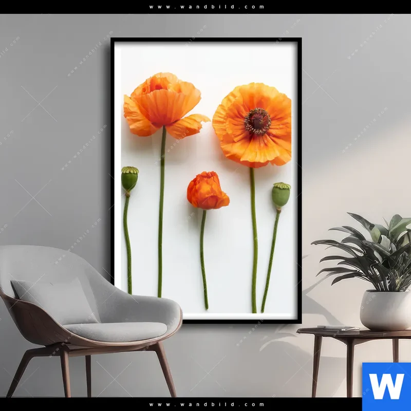 Poster | Mohnblumen in voller Blüte | Hochformat