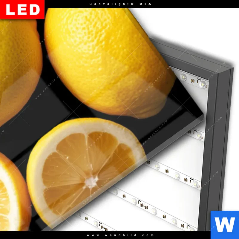 Wechselmotiv Acrylglas Canvalight® DIA | Zitronen und Limetten | Panorama
