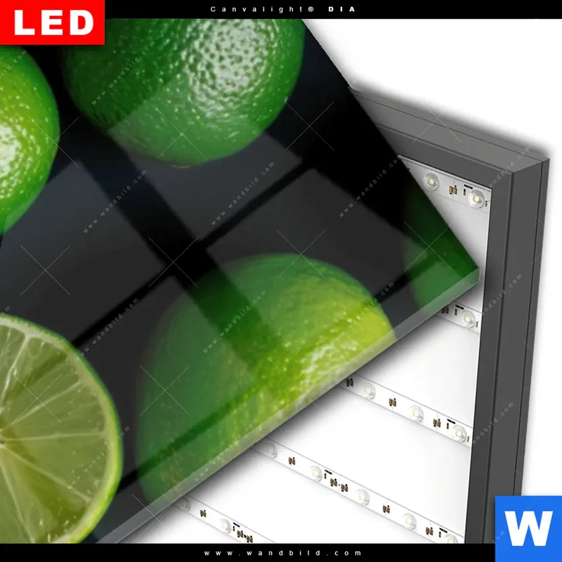 Wechselmotiv Acrylglas Canvalight® DIA | Zitronen und Limetten | Schmal