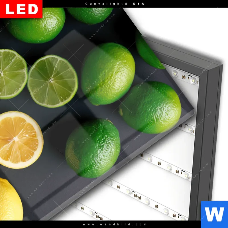 Wechselmotiv Acrylglas Canvalight® DIA | Zitronen und Limetten | Hochformat