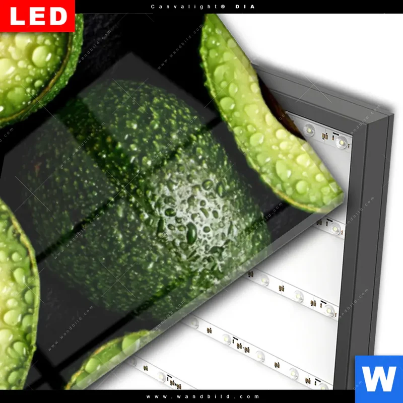 Wechselmotiv Acrylglas Canvalight® DIA | Avocados mit Wassertropfen | Schmal