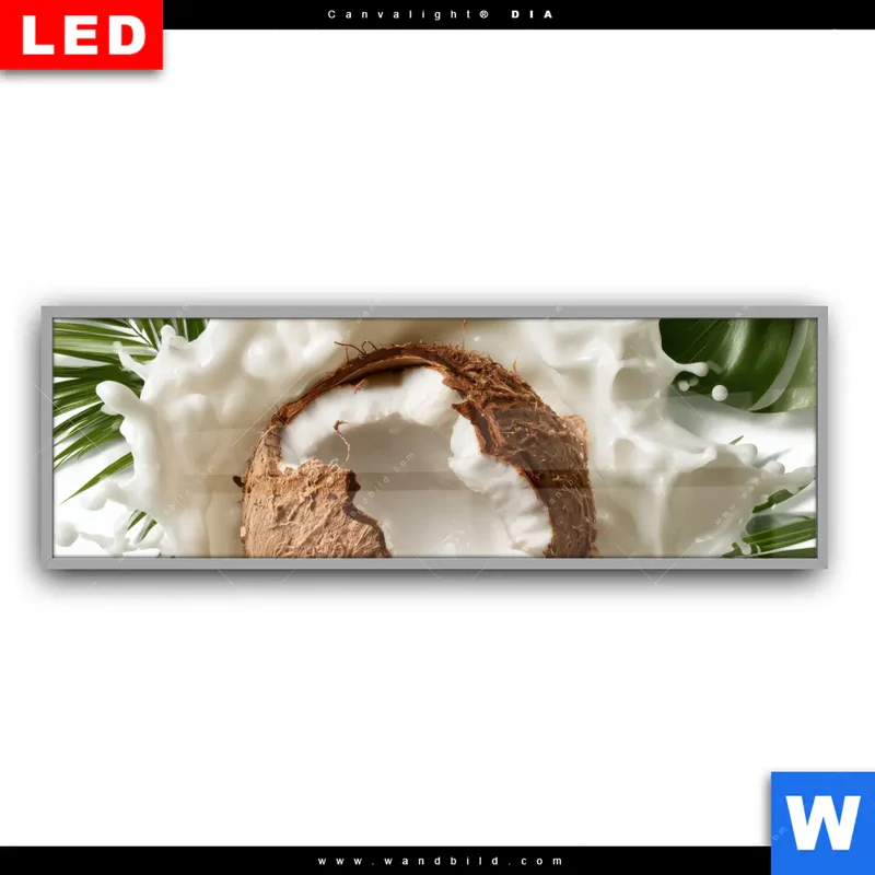 Leuchtbild Acrylglas Canvalight® DIA | Kokosnuss mit Kokosmilch & Palmenblättern | Panorama