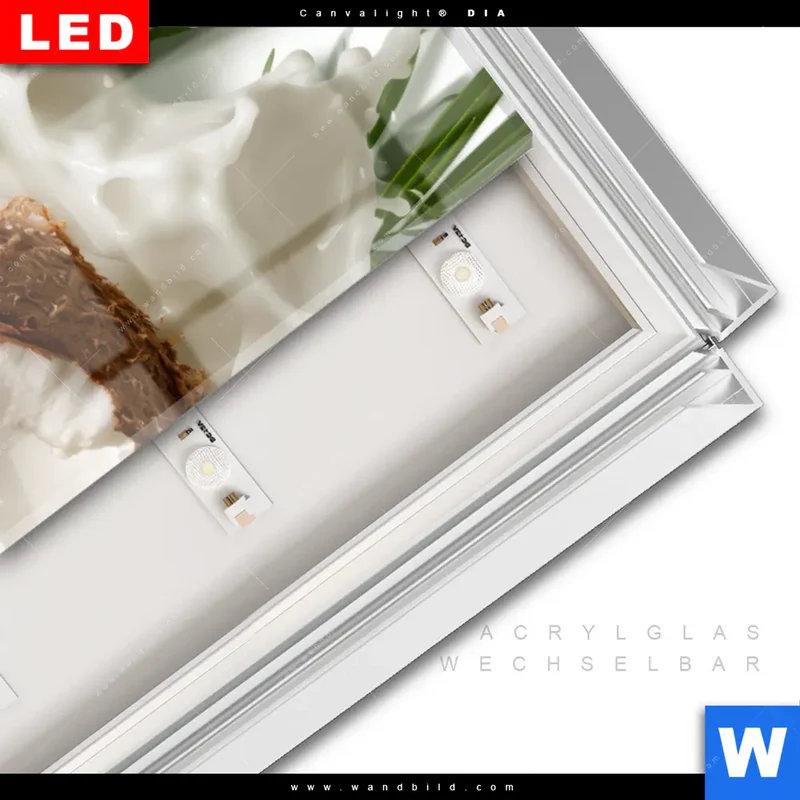 Leuchtbild Acrylglas Canvalight® DIA | Kokosnuss mit Kokosmilch & Palmenblättern | Panorama
