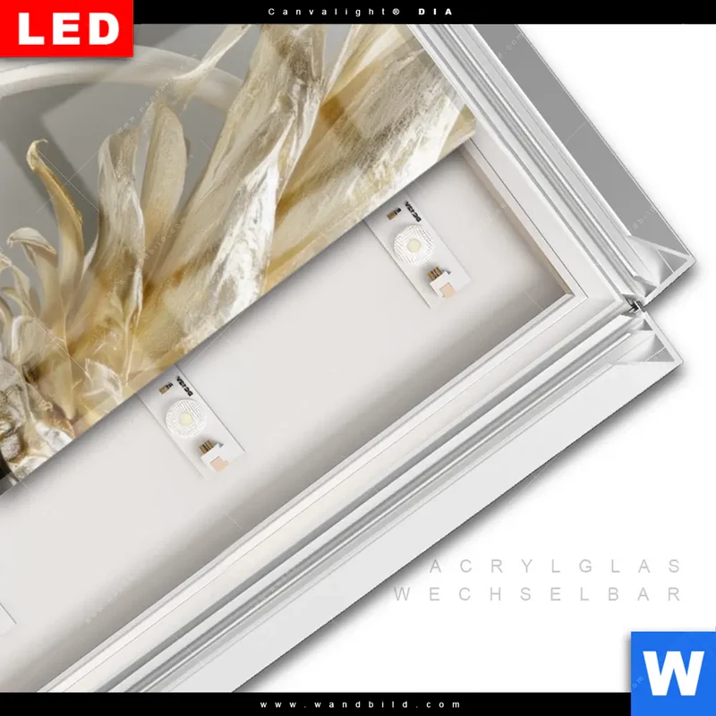 Leuchtbild Acrylglas Canvalight® DIA | Goldene Ananas mit Kopfhörern | Schmal