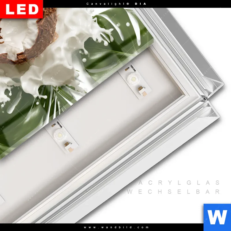Leuchtbild Acrylglas Canvalight® DIA | Kokosnuss mit Kokosmilch & Palmenblättern | Quadrat