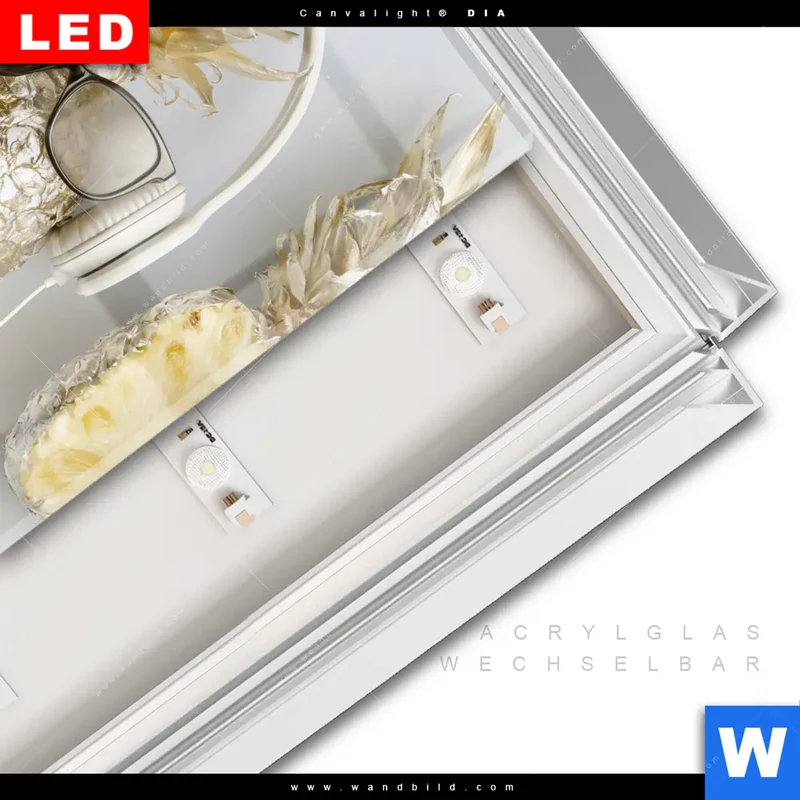 Leuchtbild Acrylglas Canvalight® DIA | Goldene Ananas mit Kopfhörern | Quadrat