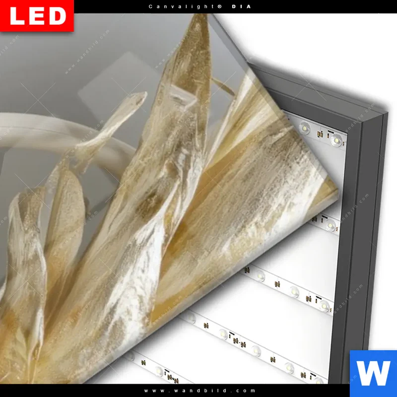 Wechselmotiv Acrylglas Canvalight® DIA | Goldene Ananas mit Kopfhörern | Schmal