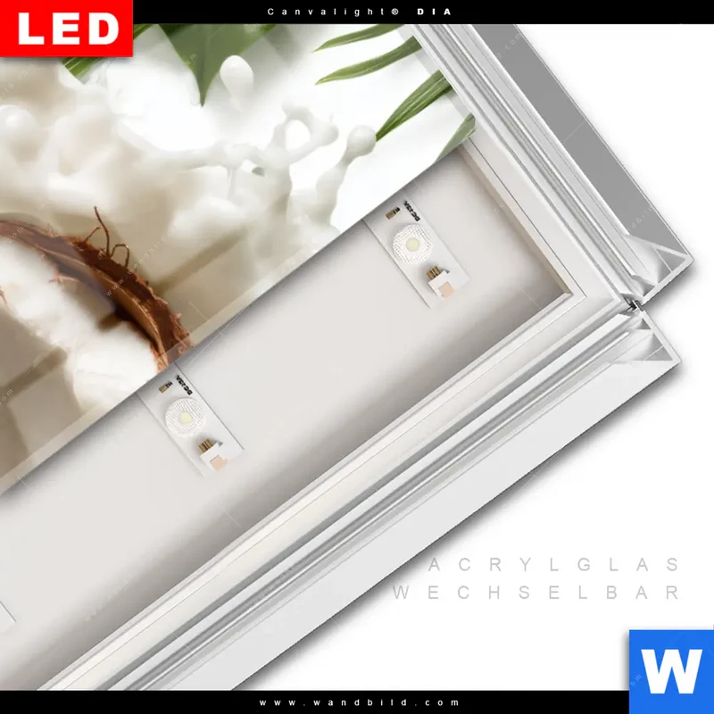 Leuchtbild Acrylglas Canvalight® DIA | Kokosnuss mit Kokosmilch & Palmenblättern | Schmal