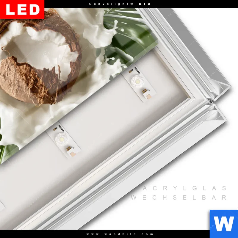 Leuchtbild Acrylglas Canvalight® DIA | Kokosnuss mit Kokosmilch & Palmenblättern | Querformat