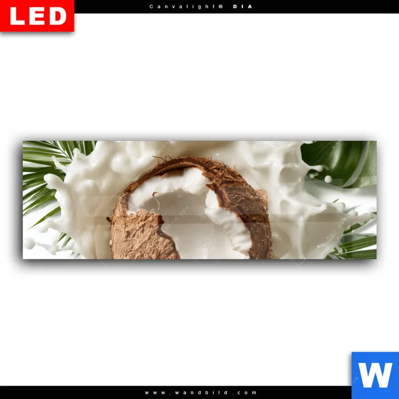 Wechselmotiv Acrylglas Canvalight® DIA | Kokosnuss mit Kokosmilch & Palmenblättern | Panorama